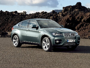 Коврики текстильные для BMW X6 I (suv, гибрид / E71) 2008 - 2012